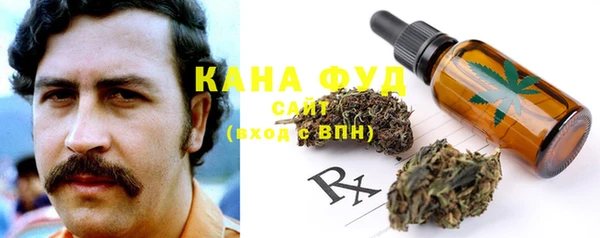 прущий лед Инсар