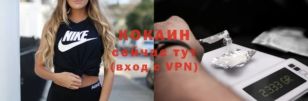 шишки Каменка