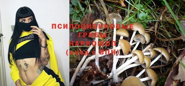 2c-b Майский