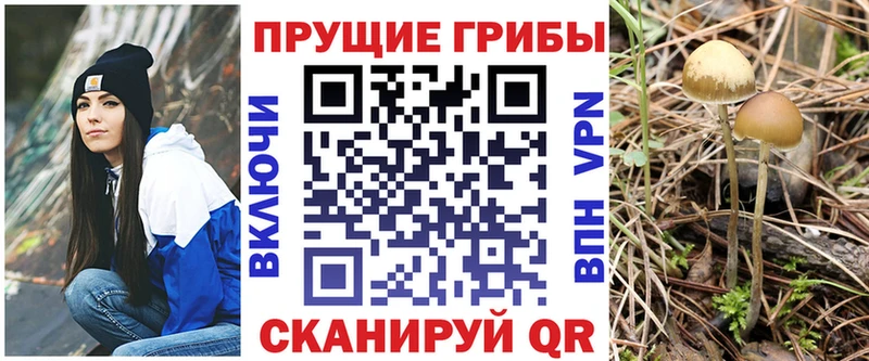 Галлюциногенные грибы ЛСД  Шуя 