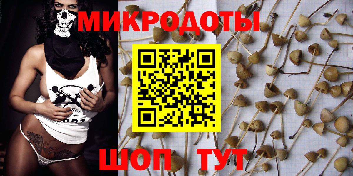 Шуя  Галлюциногенные грибы Cubensis  Вход с VPN 