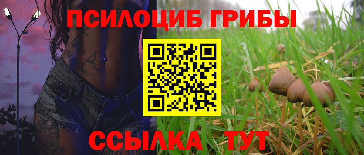 Галлюциногенные грибы мицелий  Шуя 