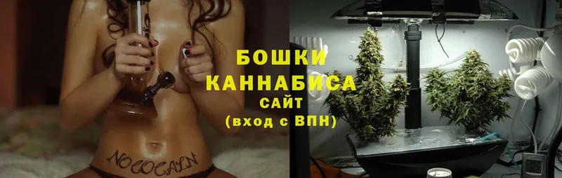 Канабис Bruce Banner  Шуя 